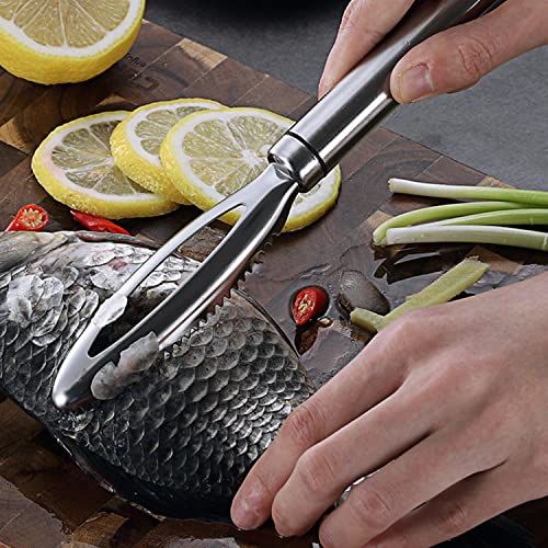 LEEWYOU Squama Pesce in Acciaio,Raschietto Pesce