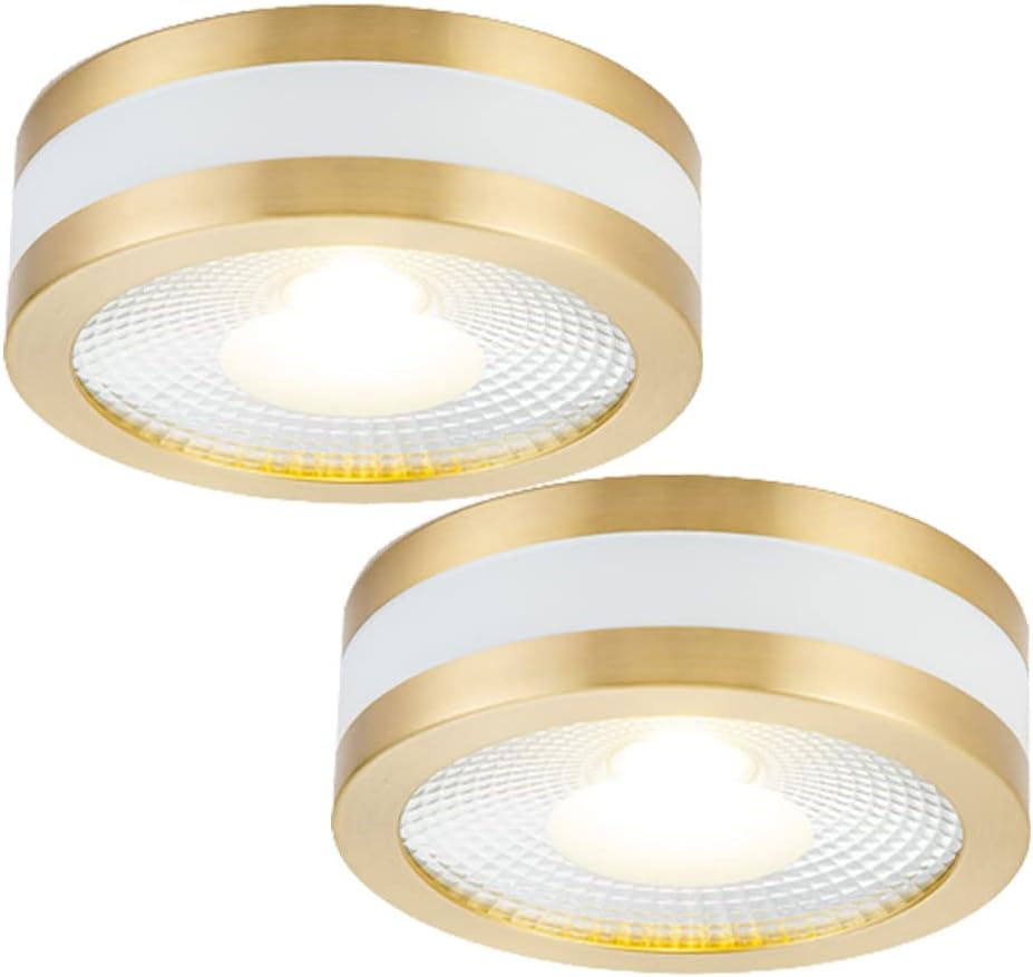 2 Pcs All Copper Surface Mounted Downlight 5W 7W 9W LED Ceiling Spotlights Led Spot Lights Ceiling Fixtures Lighting for Lobby Living Room Bedroom