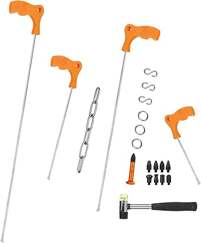 LadyRosian Juego de herramientas de abolladuras de cola de ballena, 22 piezas, sin pintura, para reparación de granizo y eliminación de abolladuras