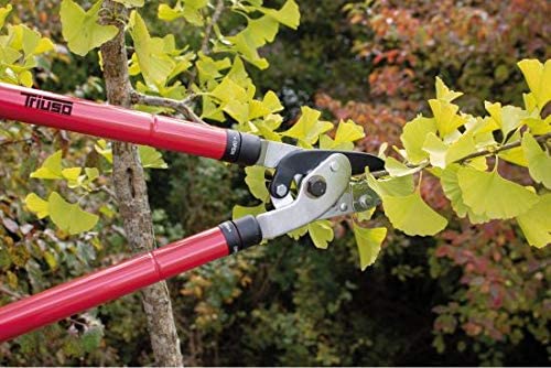 TRIUSO Teleskop-Amboss-Astschere 68 bis 100cm bis 4,5cm Äste
