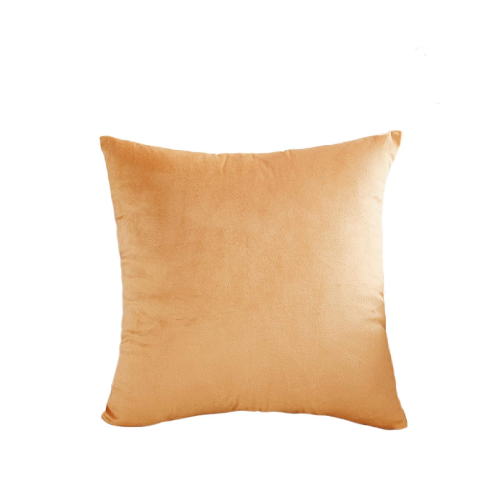 LEVINE Pillow cover - 2 Pieces Velvet Throw Pillow Pillow cover Pillow cover Headrest Cover Dutch Fleece Pillow cover Sky Blue (Color : Champagne Color)