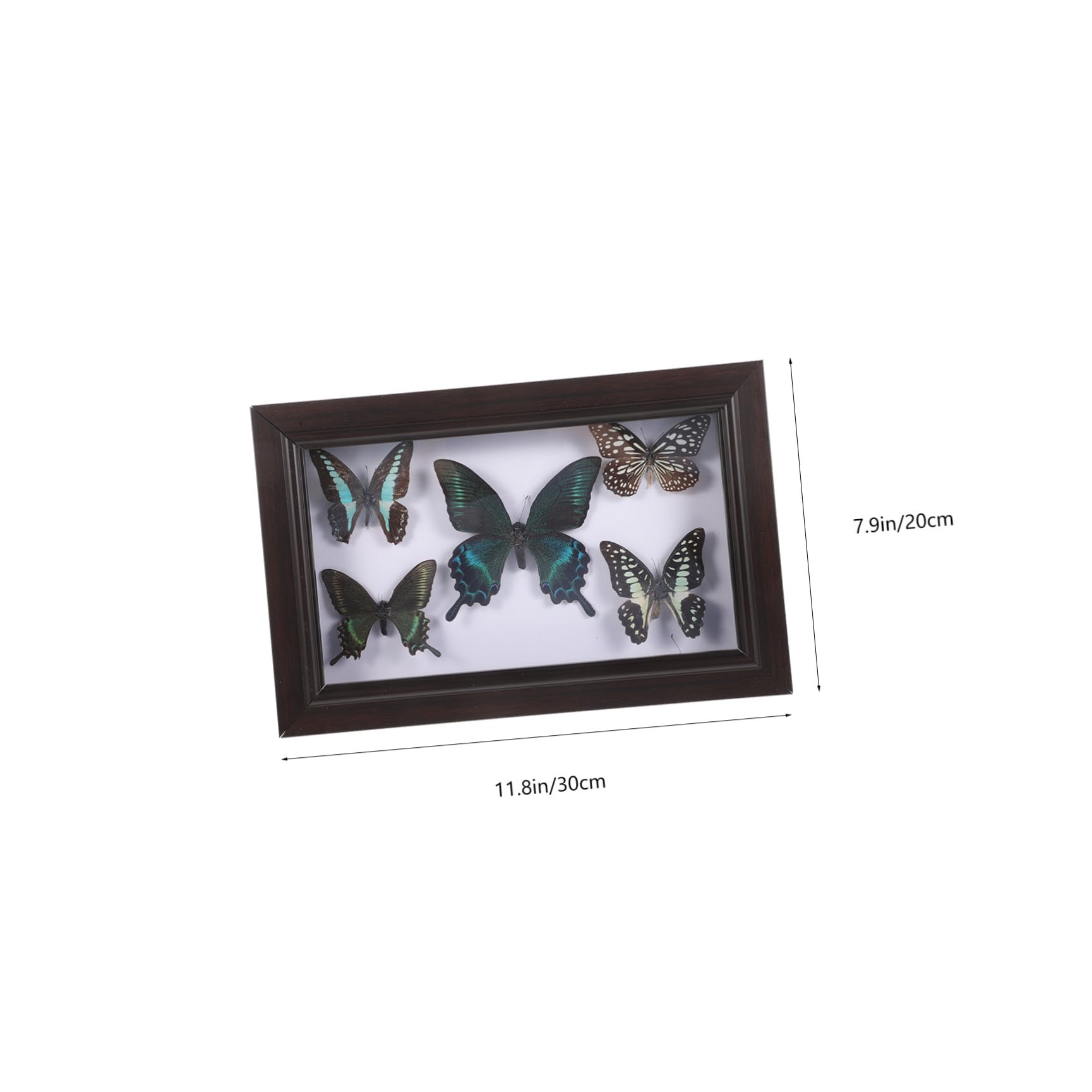 Caja para Mariposas Marco de Madera, Decoración de Pared para Sala de Estar y Espacios Pequeños, Arte DIY Diseño Funcional