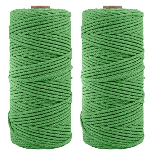 Image of ecofynd 100 Meters Shamrock Green Colour Cotton Cord, Colour Dori for Wall Hanging Plant Hanging Craft Making, Natural Thread Rope for Handmade Plant Hanger (Cord-SGN)