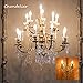 Abeja 25 Pack C9 Incandescent Replacement Bulb C9 Christmas Light Bulb for Holiday Party Christmas Decorative String Light E17 Intermediate Base 7w Clear Bulb