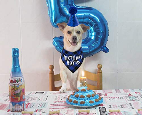 Jpb Dog Birthday Party Supplies,Pet Birthday Hat And Boy Doggy Birthday Bandana Set #TOP4