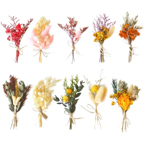Lithyc 10Bündel Getrocknete Blumen Deko - Mini Trockenblumen Zum Basteln - Trockenblumen Kleine SträUßE - Geeignet FüR Vasen, Kunsthandwerk, Korsagen, Hochzeiten, DIY Foto Requisiten Dekoration, Etc