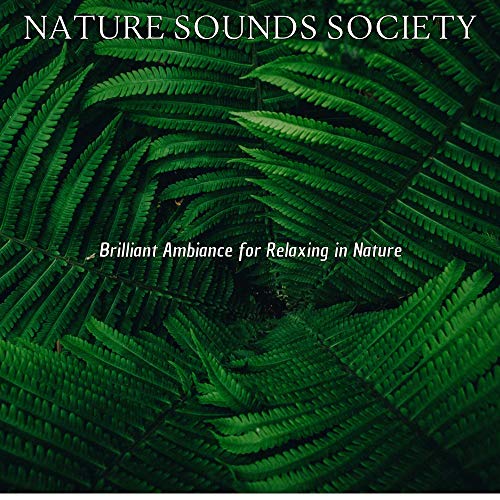 Amazon Music UnlimitedでNature Sounds SocietyのBrilliant Ambiance for ...