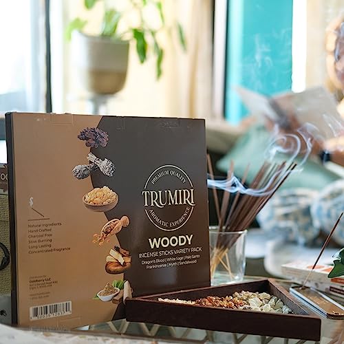 Woody Incense Sticks Variety Pack - 120 Insence-Sticks (6 Incents x 20 Insense) - White Sage Palo Santo Dragons Blood Sandalwood - Natural Inscents-Sticks Non Toxic Cleansing Incienso + Burner Holder