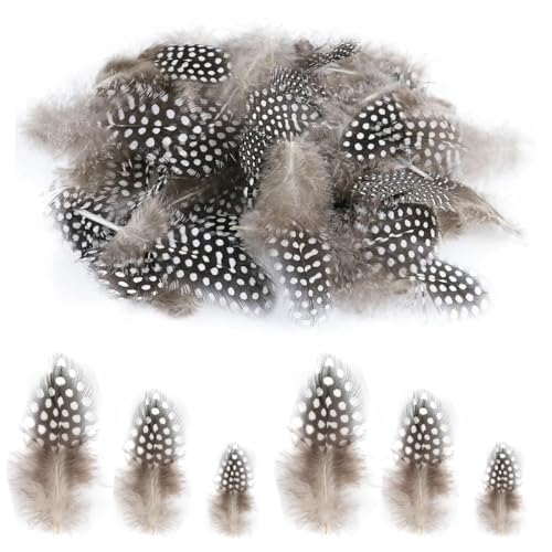 WUSJCOF 100 piezas Plumas suaves, Faisán naturales DIY Manualidades Decoración, de pollo para Atrapasueños, Boda, Fiesta y Accesorios, Plumas marrones y de colores para decoración (5-10 cm) (Marrón)
