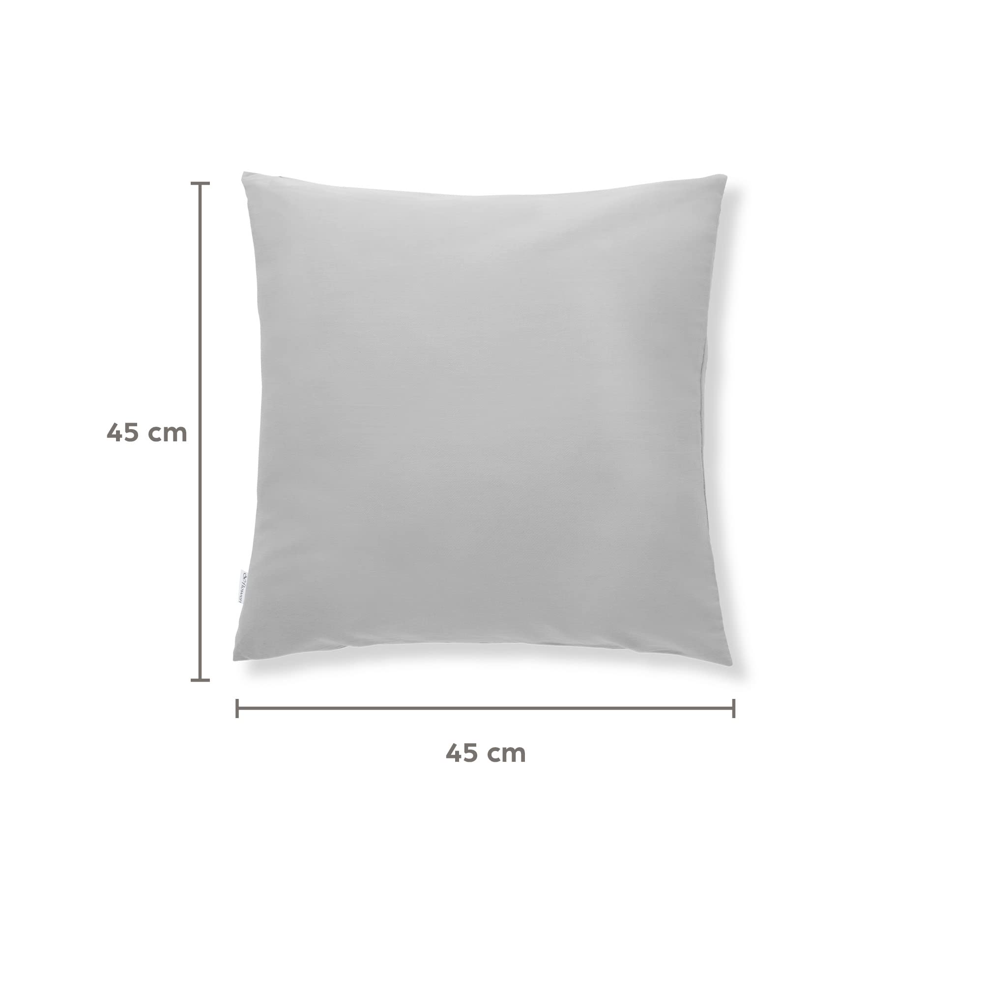 Flowen Federe Cuscini Divano 45x45 Set da 2 Copricuscini in Microfibra Fodere Lavabili e Resistenti 45 x 45 cm Tessuto 100% Poliestere Traspirante Anallergico Antiacaro Ideali per Arredo Casa