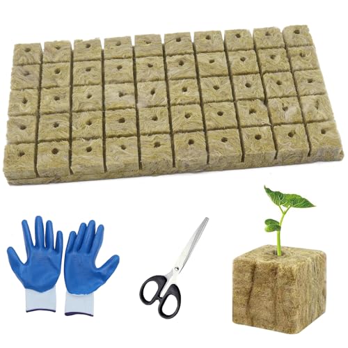 YIGOOWN Steinwolle Anzucht Steinwolle Dämmung Würfel 2.5x2.5x2.5cm Hydrokultur Set mit Handschuhe/Schere Natur Rockwool fur Stecklingen Bodenloser Anbau Hydrokultur Umpflanzen (50 Stück)