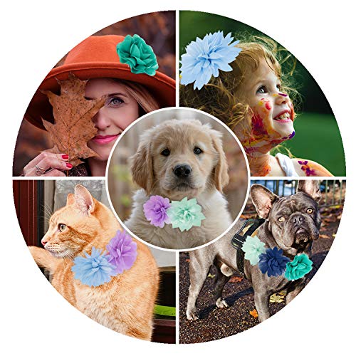 image for ADCSUITZ Dog Collar Flower Charm Accessories - Pet Collar, Harness, Le
