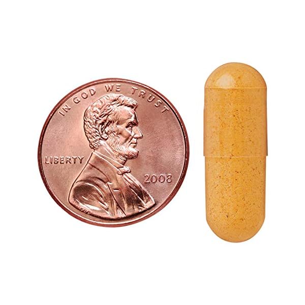 Nature Made Turmeric Curcumin 500 mg, Herbal Supplement for Antioxidant Support, 120 Capsules, 120 Day Supply