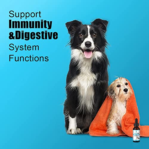 (3 Pack) Organic Pets Hemp Oil for Dogs and Cats - 250,000mg Natural Hemp Extract - for Pain, Anxiety & Stress Relief… - Image 4