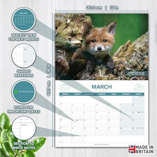 Kalender 2026 UK - British Wildlife Wandkalender  
Kalender 2026 mit Natur & Tierfotografie  
Landschaftskalender 2026, 