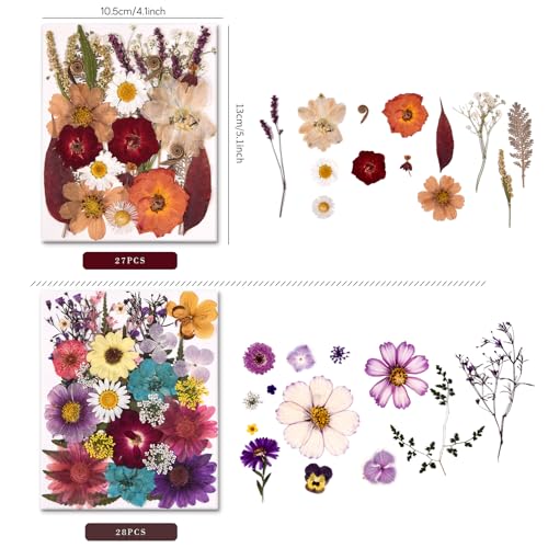 Image of 5 Packs of 140 Pressed Dried Flowers and Leaves for Resin | Assorted Real Natural Dry Flowers with Tweezers For DIY Crafts, Jewelry, Card Making, Soap,Candles, Nail Art, Scrapbooking