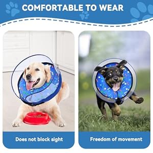 Dog Cone Collar, Inflatable Dog Cone Adjustable Dog Surgery Collar for Large Dogs and Cats, Soft Dog Cone for Dogs After Surgery with Enhanced Anti-Licking, Protective Dog Donut Collar (L) Dog Cone Collar, Inflatable Dog Cone Adjustable Dog Surgery Collar for Large Dogs and Cats, Soft Dog Cone for Dogs After Surgery with Enhanced Anti-Licking, Protective Dog Donut Collar (L)