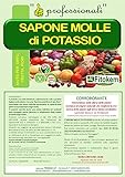 Zoom IMG-1 fitokem sapone molle potassico per Zoom IMG-1 fitokem sapone molle potassico per