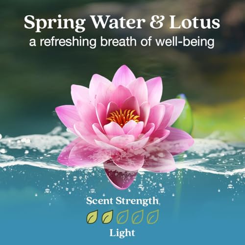 Image of Enviroscent Non-Toxic* Car Air Freshener Auto Stix - Scents Made Safer - Enjoy Fragrance Lasts Up to 480 Days - Includes Auto Stix Diffusers & Elastic Loops - Spring Water & Lotus (Pack of 8)