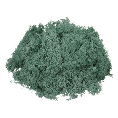 MECCANIXITY 7.4oz Preserved Reindeer Moss, Grass Green Decorative Artificial Fake Moss for Potted Plants Indoor Crafts Lichen Centerpieces Decor