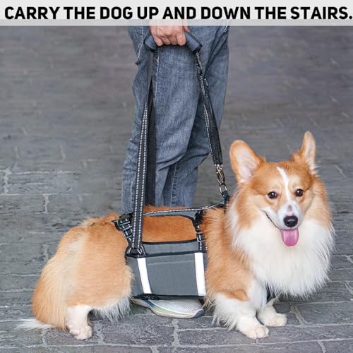 COODEO Mobility Dog Lift Harness, Emergency Carry Sling, Pet Rear Leg Support Rehabilitation Lifts Vest, Dog Carrier for Senior Dogs Joint Injuries, Arthritis (Military Green, L) - Image 4