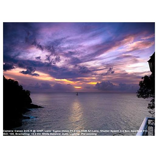 Sigma 24mm F/1.4 Art Lens for Sony E