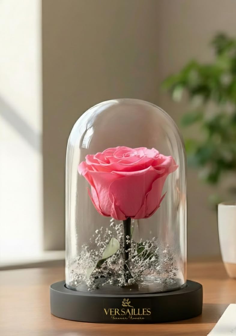 Versailles Preserved Pink Rose in Glass Dome | Black Wooden Base with Silver Gypso | Long Lasting Infinity Rose Anniversary, Birthday or Valentine’s Day-image-38