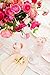 Sugar & Cloth Pale Pink Plastic Champagne Coupe Set, 4-Piece