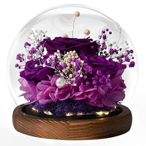 Gifts for Women, Preserved Flowers Handmade Real Roses in Glass with Light, Gifts for Mom Grandma Her Best Friend Girlfriend Wife, Birthday Valentines Day Christmas Thanksgiving