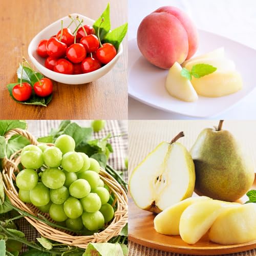 [先行予約]柚 フルーツ 定期便 全4回 さくらんぼ 佐藤錦 もも 白桃 ぶどう シャインマスカット ラ・フランス ギフト 果物 2026年産 山形県産 [2026年6月上旬~発送開始]mm-ft4yz