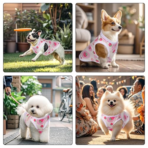 Image of 1Pcs Dog Shirt, Cat Shirt, Dog Dress Female, Pet Sterilization Suit for Small to Medium Dogs and Cats Soft Polyester Fabric Comfortable and Post-Surgery Protection