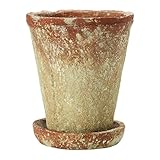 Creative Co-Op Cement Planter with Saucer, Distressed Terra-Cotta Finish, Holds 5" Pot