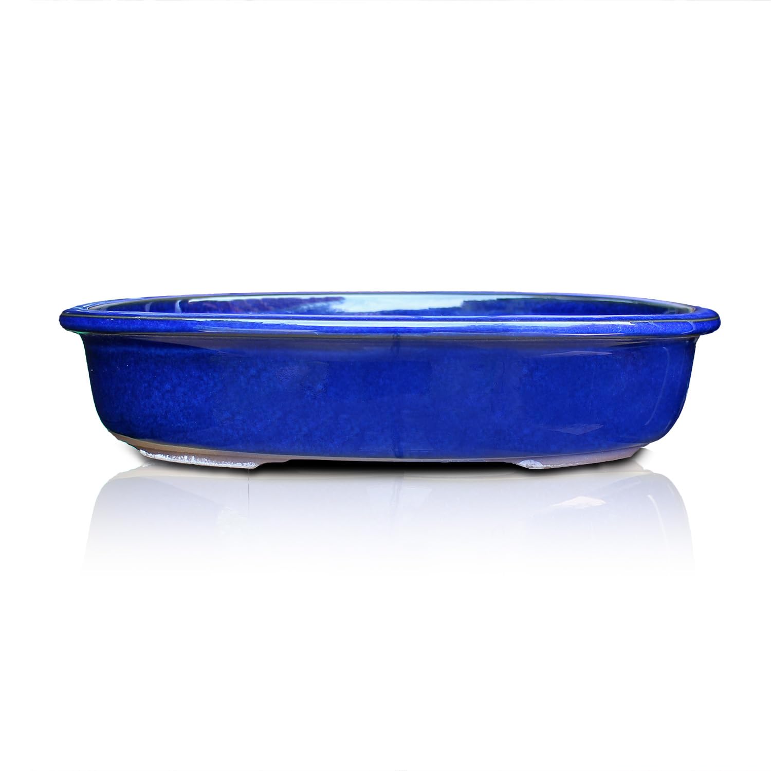 Amazon.co.jp: うめきち盆栽用品店 盆栽鉢 8号 オカメ小判 青色 海鼠釉