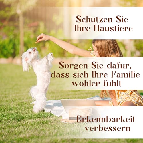 Verstellbar Hundehalsbänder Braun, Weich Langlebig Hundehalsband aus Leder für kleine Hunde