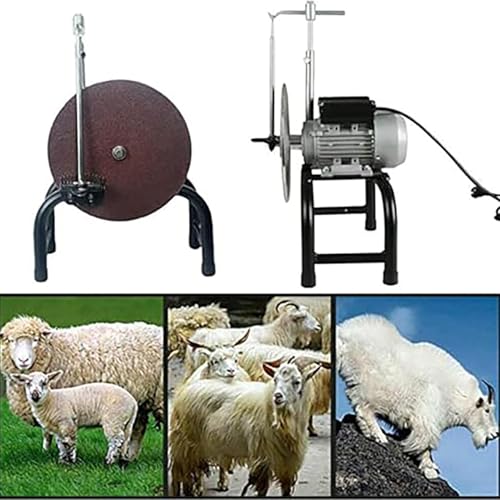 Cisaillement de chèvre difficile ? Solution par machine de meulage de tondeuse de mouton 480W