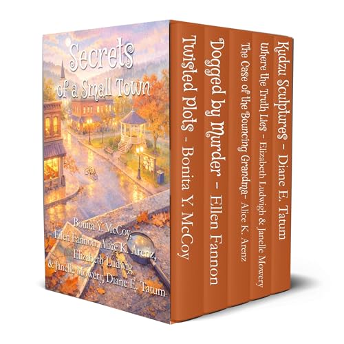 Secrets of a Small Town Audiobook By Bonita Y. McCoy, Ellen Fannon, Alice K. Arenz, Elizabeth Ludwig, Janelle Mowery, Diane E