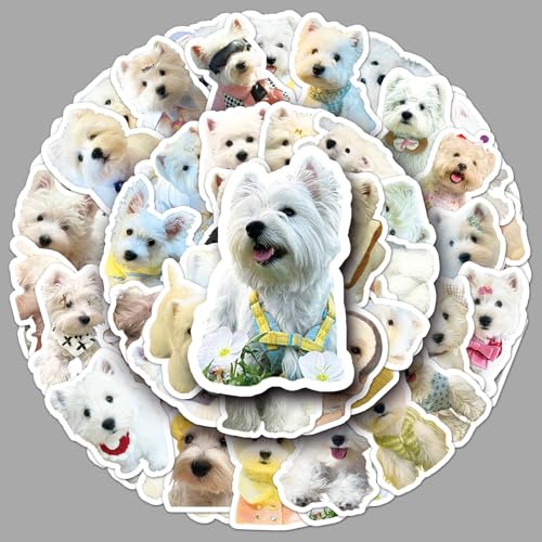 50Zbg EGXeB[ ybgV[Y 킢Aj} L[gfUC ӂӂX^C XebJ[ V[ h   lC fJ[ XP[g{[h ו X[cP[X M^[  X}zP[X XP{[ Xm{ m[gp\R