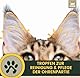 Ohrentropfen für Katzen • Ohrreiniger Katze • Ohrentropfen bei Juckreiz • Ohrenspülung Kamille • Katzen Ohrenreiniger bei Ohrenentzündung - Milde Ohr Reinigung Schmutz & Ohrenschmalz Entferner 2x0,1l