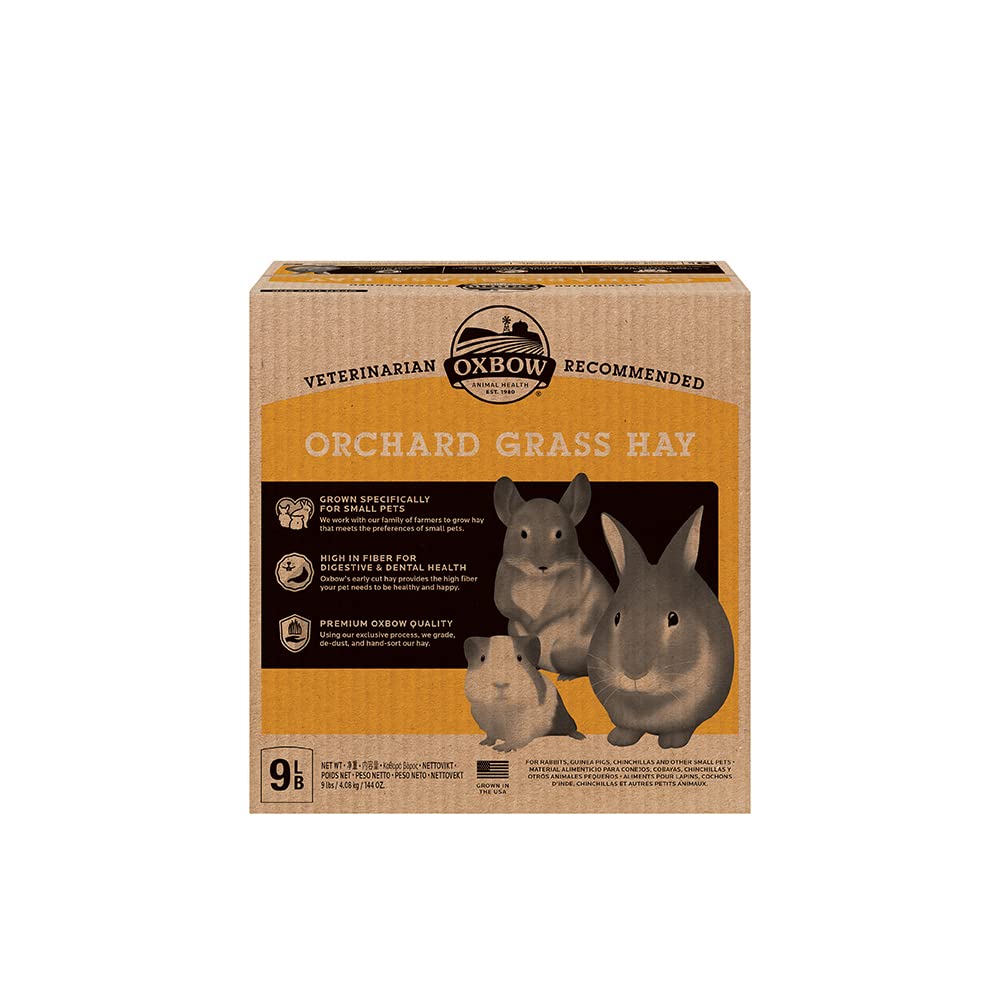 Oxbow Animal Health Orchard Grass Hay - All Natural Grass Hay for Chinchillas, Rabbits, Guinea Pigs,