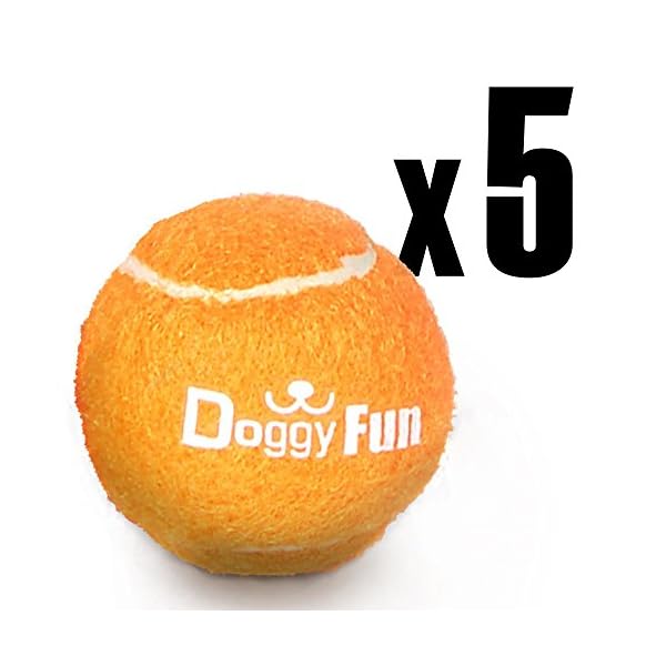 Dog Fetch Toy Balls