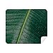 Banana Picture Nature World Cleaning Cloth Screen Cleaner 2pcs Suede Fabric