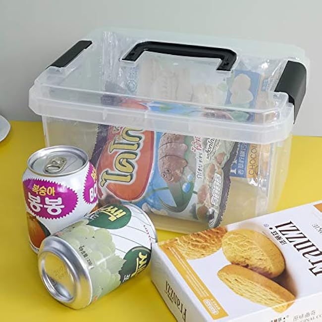 4 Packs Plastic Box with Lid, Plastic Storage Bin, Small Storage Boxes