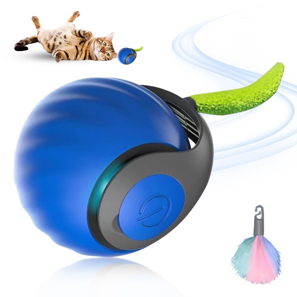 Catnat 2026 Nouveau Jouet Interactif pour Chat, avec Queue en Peluche Jouet pour Chats, Speedy Tail Chat Jouets pour Chien Balle Interactive Chat Chien (Bleu * 1)