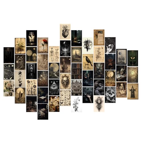 TWNSLLA Moody Dark Academia Decor Wall Art for Home,50pcs Dark Academia Aesthetic...