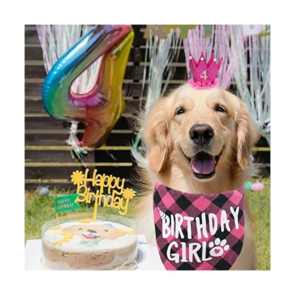 Dog birthday bandana - girl dog birthday hat with number - dog birthday supplies for small and medium dog pet - image 7