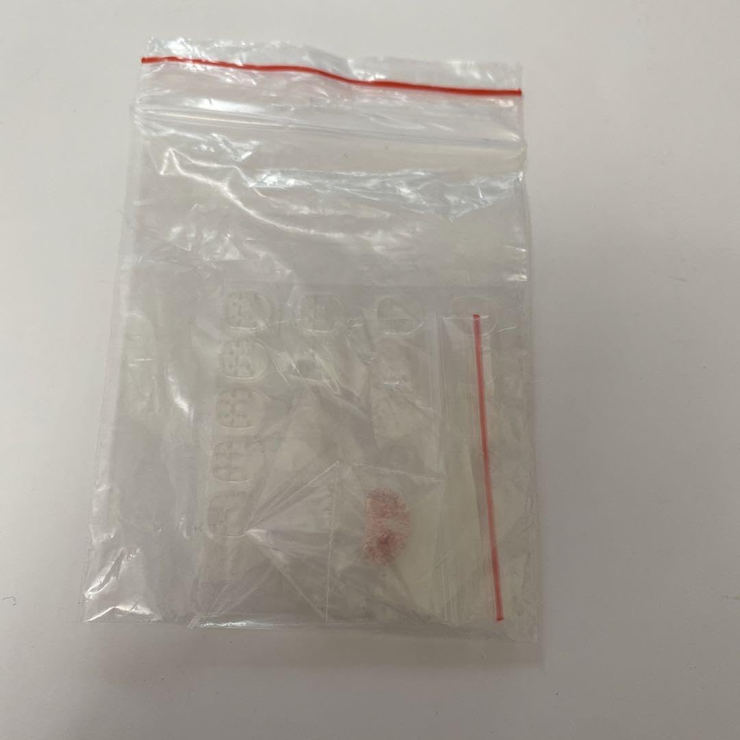 Amazon.co.jp: 啵比赞比ぬいぐるみ 肖战王一博 : おもちゃ