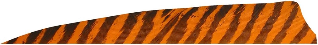 Gateway Shield Cut Feathers Barred Orange 4 in. RW 100 Pk.