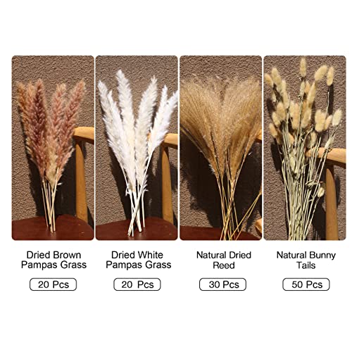 130Pcs Artificial Flower Dried Grass Decor, Includes Dried White Pampas Grass 20 Pcs|Brown Dried Flower 20 Pcs|30 Pcs Natural Dried Reed|60 Pcs Natural Bunny Tails For Home Arrangement #TOP1