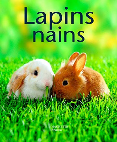 Télécharger Lapins nains Gratuit