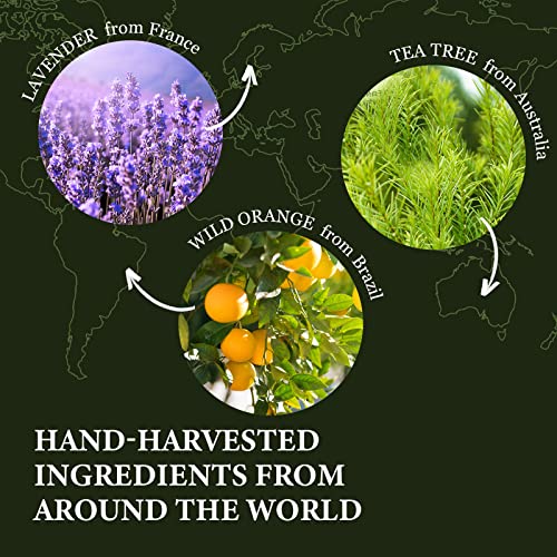 Essential Oil Set - Essential Oils - Pure Essential Oils - Perfect For Diffuser, Aromatherapy, Massage, Skin, Hair Care & Fragrance, Soap, Candle Bath Bombs Making, 6X10Ml(0.33Fl.oz) #TOP3